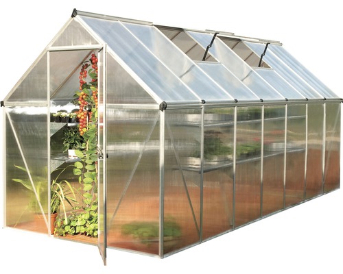 Serre avec porte ouverte et étagères à plantes