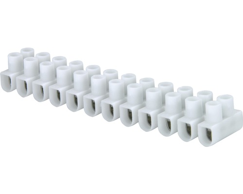 Bornes de connexion blanches pour raccordement électrique