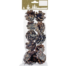 Paquet de huit pommes de pin pour la décoration