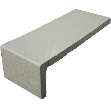 Bordure de béton pour l''horticulture