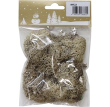 Verpackung mit Islandmoos zur Dekoration