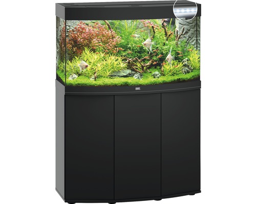 Aquarium complet avec meuble bas, plantes et poissons