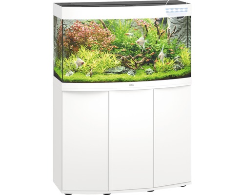 Aquarium mit Unterschrank in Weiß, bepflanzt und mit Fischen