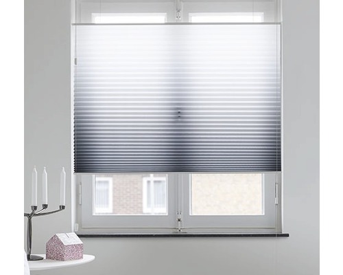 Plissee am Fenster zur Lichtregulierung und als Sichtschutz