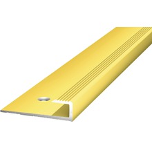 Profilé d'insertion aluminium doré perforé 27 x 7 x 2500 mm-thumb-0