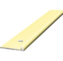 Profilé de sol en plastique avec trous de perçage