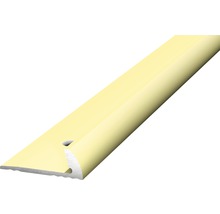 Profil de sol en aluminium avec trous de fixation