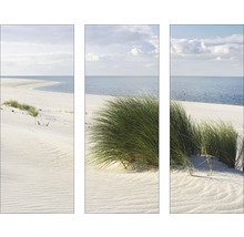 Glasbild Dune 3er-Set 3x 30x80 cm GLA580
