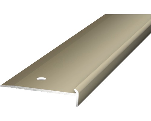 Nez de marche aluminium acier inoxydable mat perforé 45 x 10 x 2500 mm