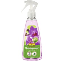 Spray d''entretien des feuilles dans un flacon de 250 millilitres avec tête de pulvérisation