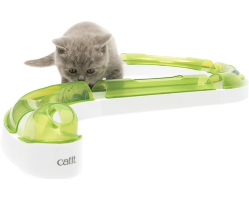 Chat gris jouant avec un jouet pour chat