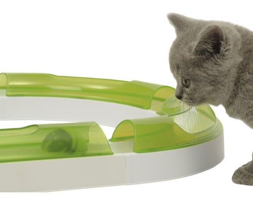 Un chat joue avec un jouet pour chat avec une balle