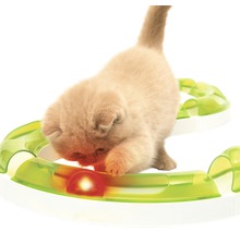 Katze spielt mit interaktivem Katzenspielzeug