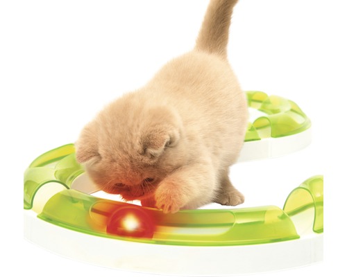 Katze spielt mit interaktivem Katzenspielzeug