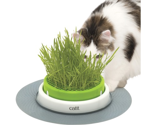 Pot d'herbe à chat cat it Senses 2.0 Grass Planter recouvert d'une grille