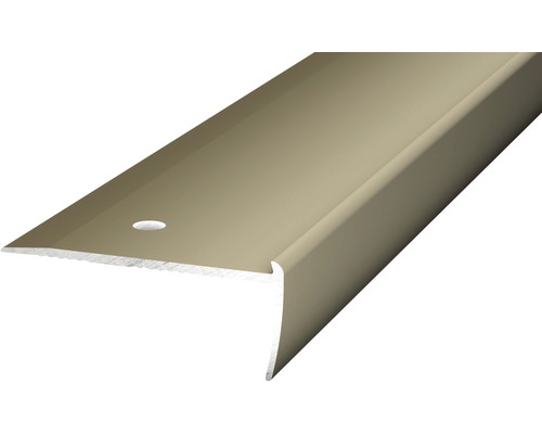 Nez de marche aluminium acier inoxydable mat perforé 45 x 18,5 x 2500 mm