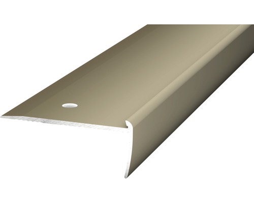 Nez de marche aluminium acier inoxydable mat perforé 45 x 19 x 2500 mm