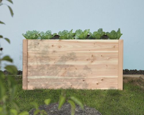 Hochbeet aus Holz mit Salatpflanzen im Garten.