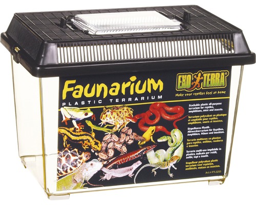 Faunarium Exo Terra 233 x 155 x 170 mm