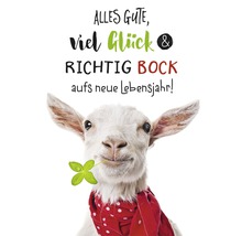 Carte de vœux avec une chèvre, un trèfle et le texte Alles Gute, viel Glück und richtig Bock aufs neue Lebensjahr!