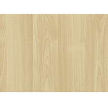 d-c-fix® Klebefolie Holzdekor Ahorn 90x210 cm