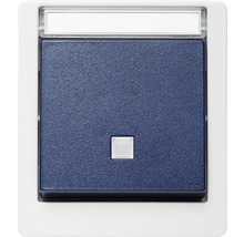 Bouton bleu avec champ d''étiquette