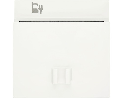 Plaque centrale Busch-Jaeger 6478-914 pour station de charge USB Balance SI blanc alpin