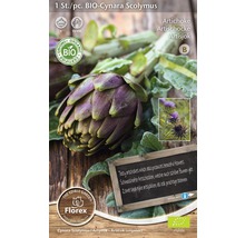 Paquet de graines d''artichauts avec label biologique