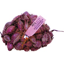 Rote Steckzwiebeln, Sorte Piroska, im 400-Gramm-Netz