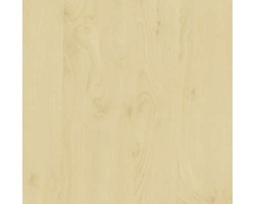 Film adhésif d-c-fix® décor bois bouleau 67,5x200 cm Structure en bois pour revêtements de sol