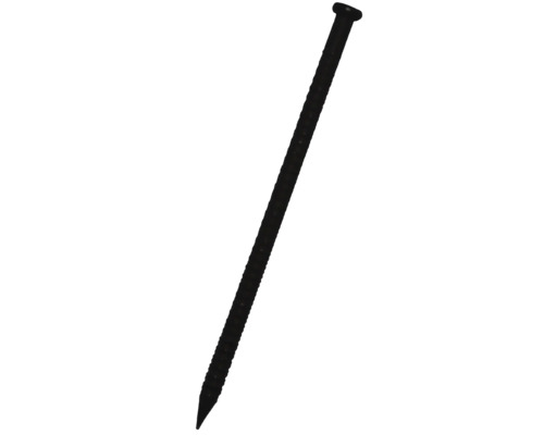 Paneelstifte (Colorstifte) 1,6 x 26 mm schwarz, 250 Stück Ein einzelner Nagel
