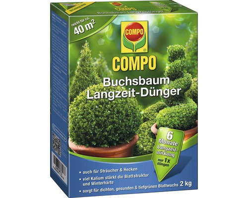 COMPO Buchsbaum Langzeit-Dünger für circa 40 Quadratmeter, 2 Kilogramm Packung