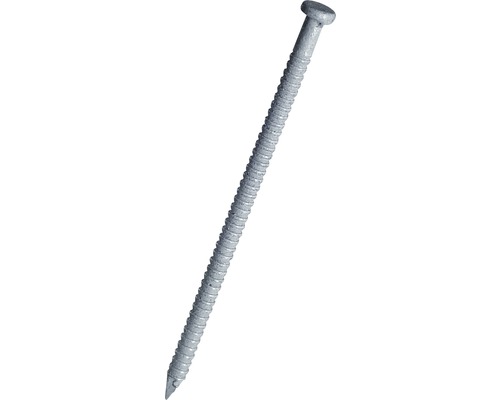 Tige de panneau (tige Color) 1,6x32 mm blanche, 250 unités Un clou galvanisé individuel avec une tige moletée