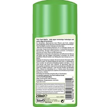 Algicide Tetra AlgoFin 250 ml