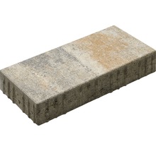 Pavé rectangulaire Crescendo calcaire coquillier 40 x 20 x 8 cm-thumb-0