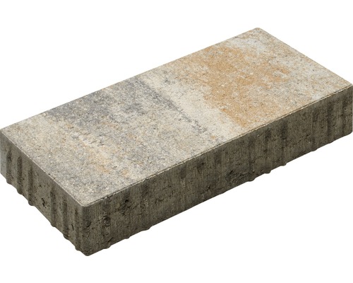 Pavé rectangulaire Crescendo calcaire coquillier 40 x 20 x 8 cm