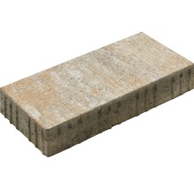 Pavé rectangulaire Crescendo calcaire coquillier 40 x 20 x 8 cm-thumb-3