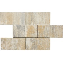 Pavé rectangulaire Crescendo calcaire coquillier 40 x 20 x 8 cm-thumb-4
