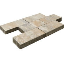 Pavé rectangulaire Crescendo calcaire coquillier 40 x 20 x 8 cm-thumb-5