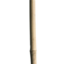 Tuteur en bambou 150 cm 12/14mm, nature-thumb-0