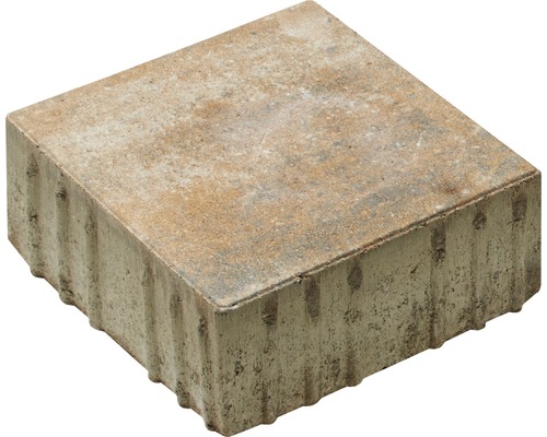 Pavé en béton pour l''extérieur