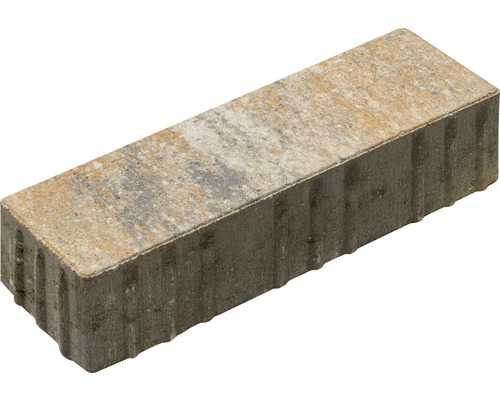 Pavé rectangulaire Crescendo calcaire coquillier 30 x 10 x 8 cm
