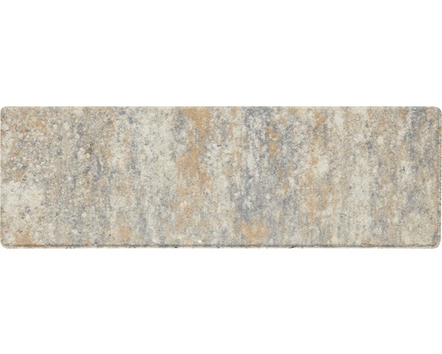 Pavé en béton