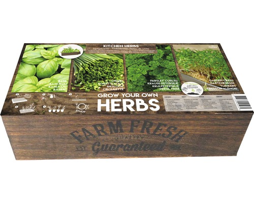 Grow-Box XL 'Fines herbes Farm Fresh'