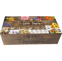 Essbare Blumen Zuchtset auf Holzgrund