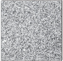 Granit Terrassenplatte grau 40 x 40 x 3 cm-thumb-0