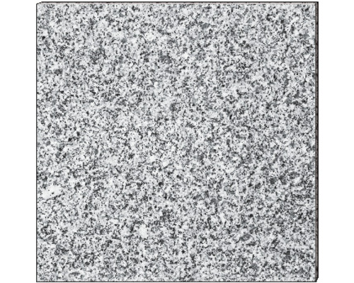 Granit Terrassenplatte grau 40 x 40 x 3 cm