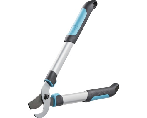 Sécateur à branches avec manches télescopiques pour la taille des arbres