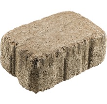 Einzelner Pflasterstein aus Beton
