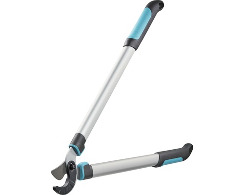 Élagueur à longs manches pour la taille des arbres